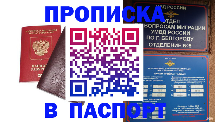 прописка поиск в Ноябрьске